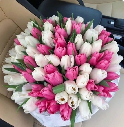 Tulpių puokštė Baltai rožinė