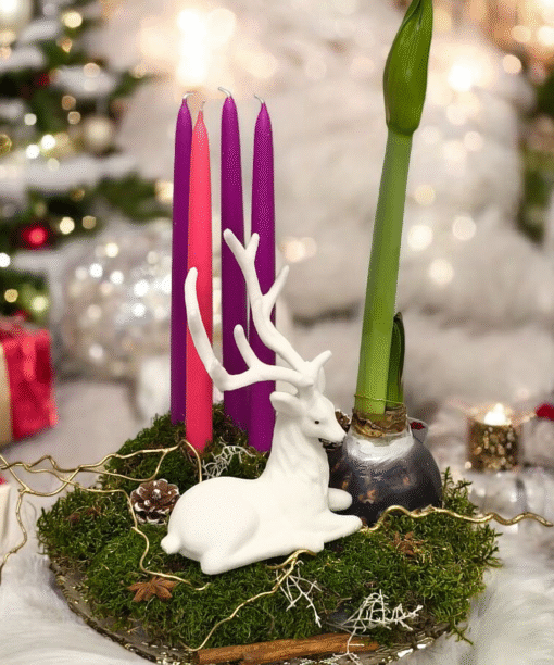 Advento kompozicija 2